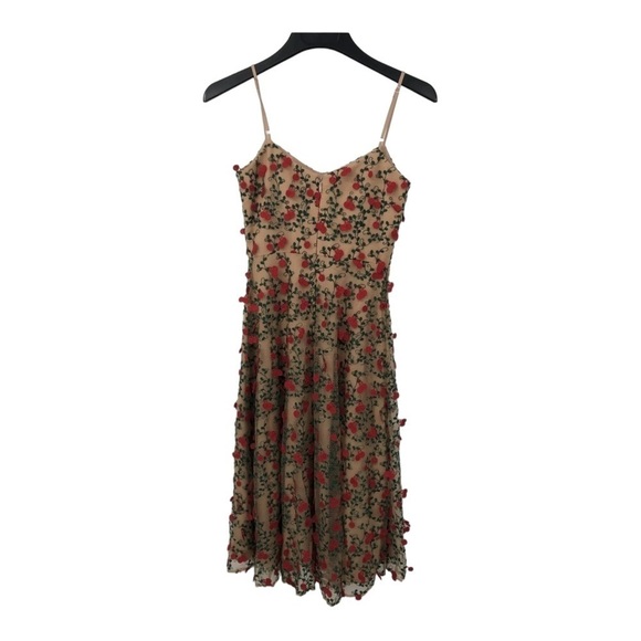 NWT DRESS THE POPULATION Janice Romantic Nude Floral Embroidered Midi Dress XS - Picture 14 of 16